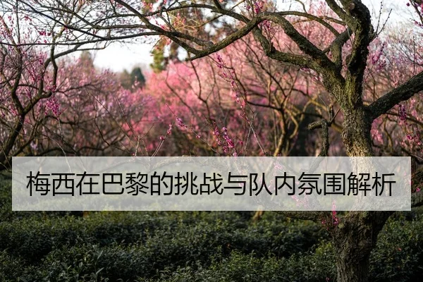 梅西在巴黎的挑战与队内氛围解析
